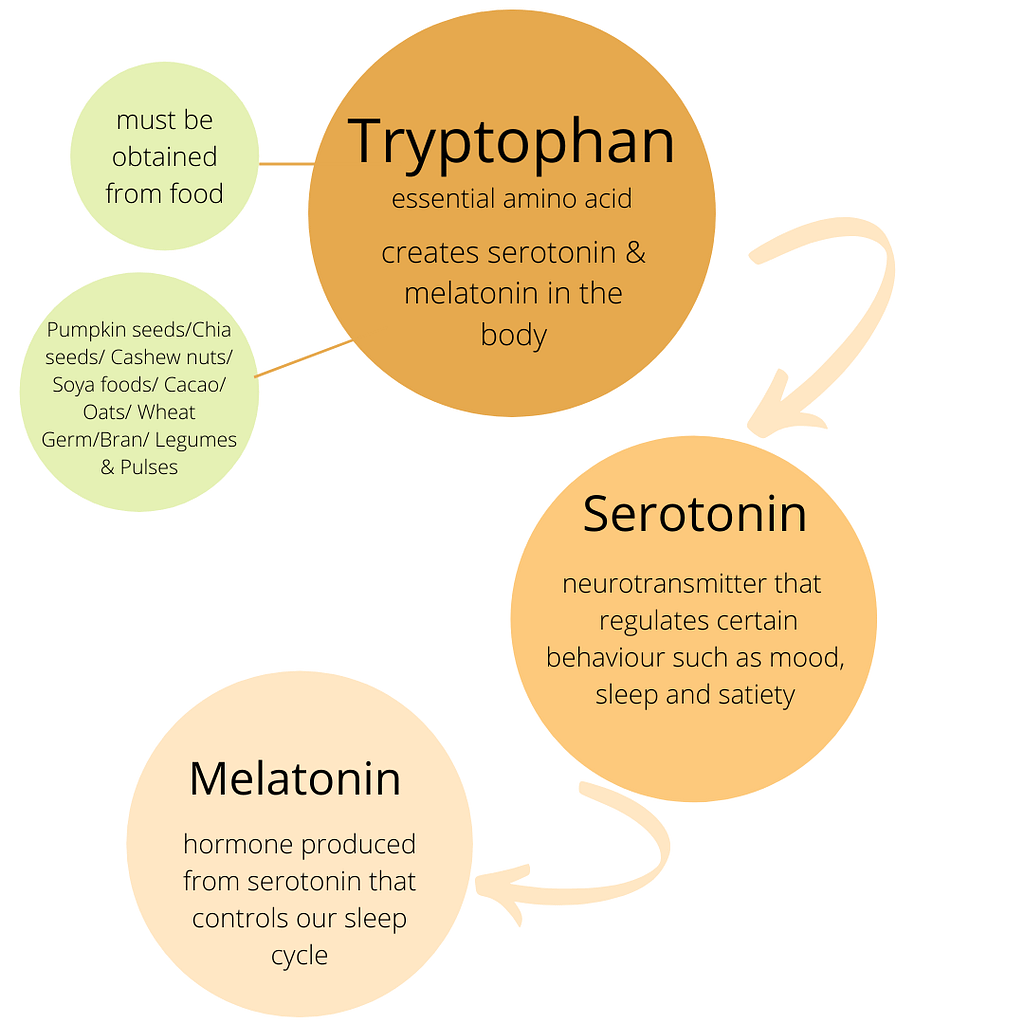 Tryptophan creates Serotonin & Melatonin